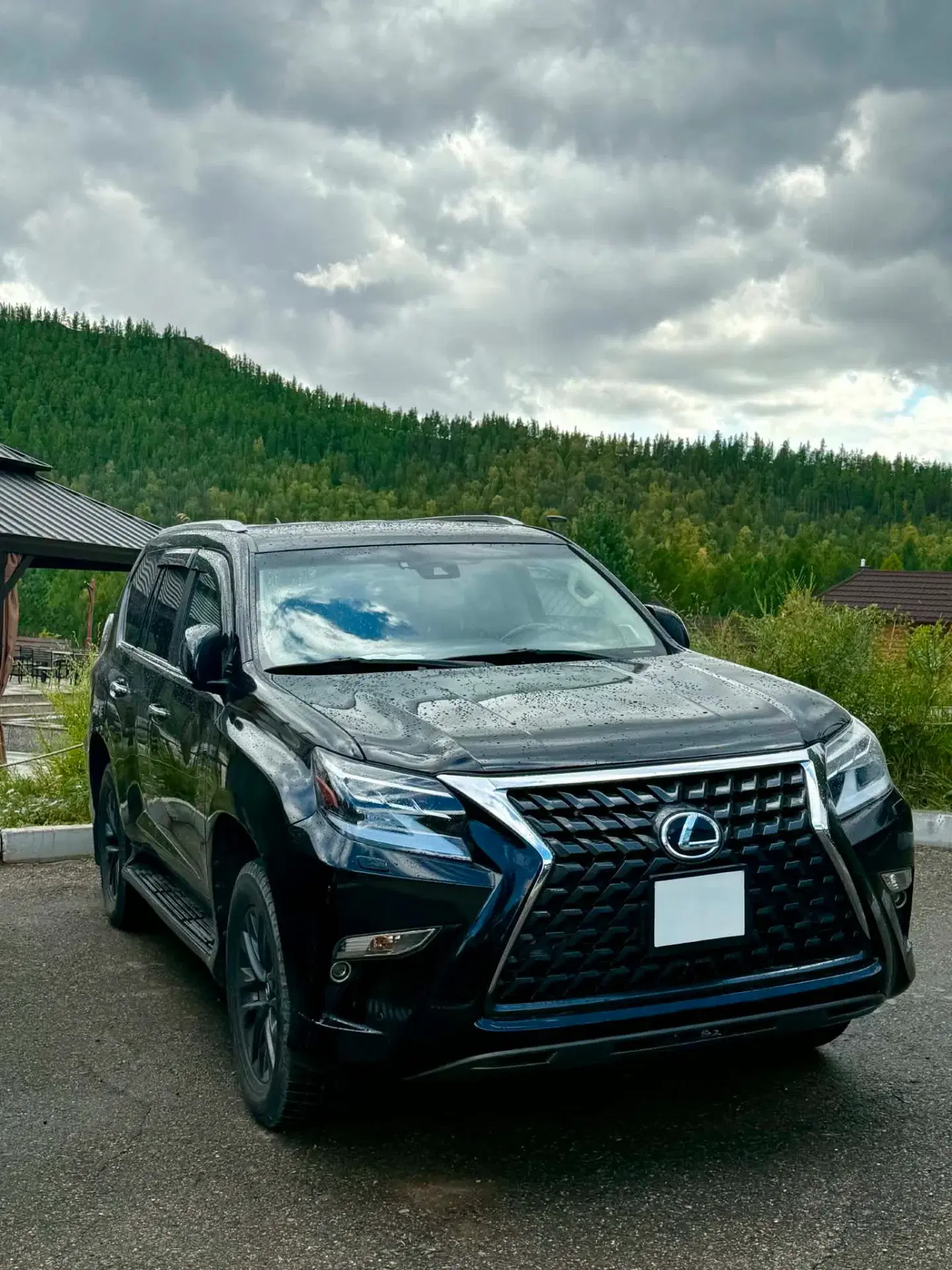 Lexus GX460